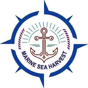 Company Logo of Marine Sea Harvest